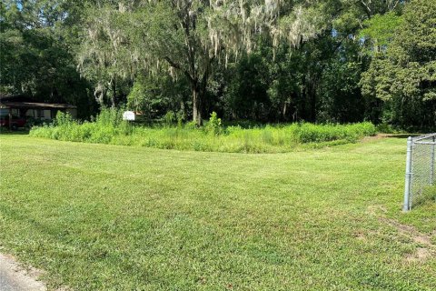 Terrain à vendre à Ocala, Floride № 1900485 - photo 3