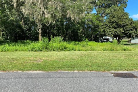 Terrain à vendre à Ocala, Floride № 1900485 - photo 4