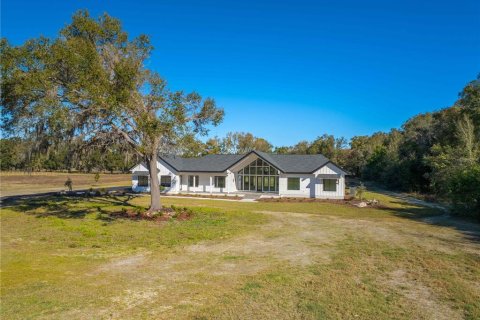 Terreno en venta en Newberry, Florida № 1198599 - foto 7