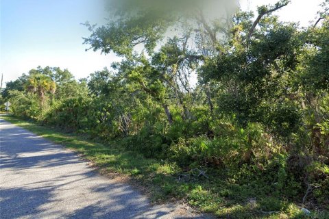 Land in North Port, Florida № 2165113 - photo 9