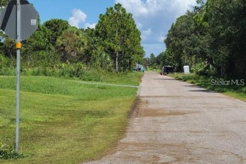 Land in Port Charlotte, Florida № 2161188