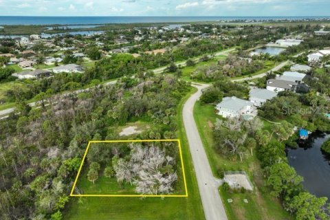 Land in Placida, Florida № 1910385 - photo 15