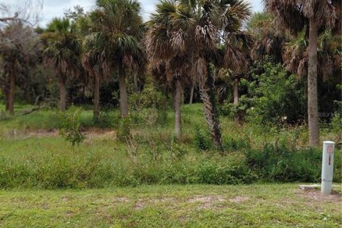 Land in Placida, Florida № 1910385 - photo 4