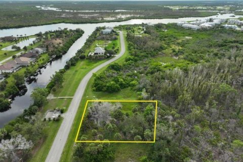 Land in Placida, Florida № 1910385 - photo 17