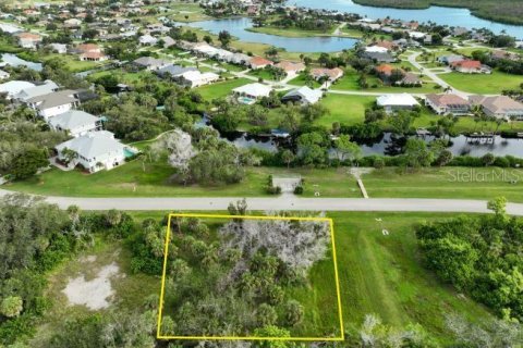 Land in Placida, Florida № 1910385 - photo 18