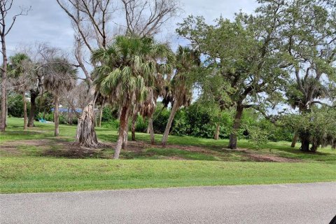 Land in Placida, Florida № 1910385 - photo 5