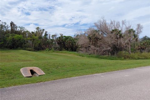 Land in Placida, Florida № 1910385 - photo 3