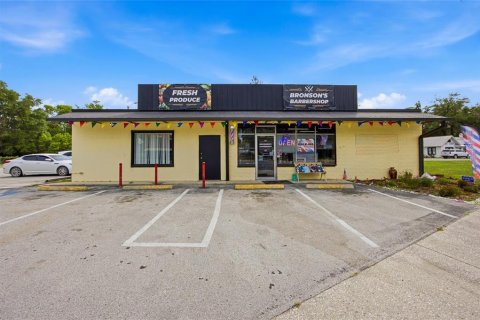 Immobilier commercial à vendre à Bronson, Floride: 187.76 m2 № 2219166 - photo 2