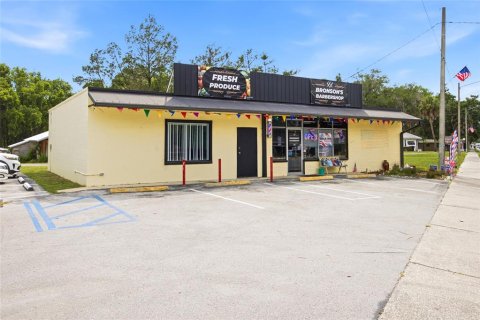 Immobilier commercial à vendre à Bronson, Floride: 187.76 m2 № 2219166 - photo 3
