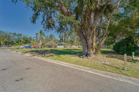 Terrain à vendre à Sarasota, Floride № 1555519 - photo 4