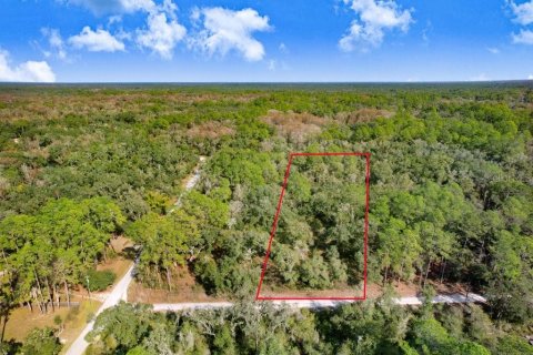 Terreno en Webster, Florida № 2096433