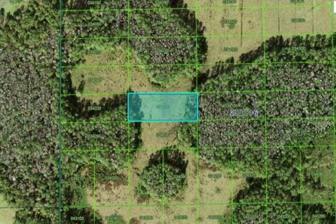 Land in Polk City, Florida № 2235097
