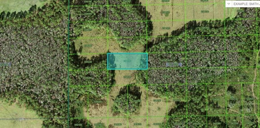Terreno en Polk City, Florida № 2235097