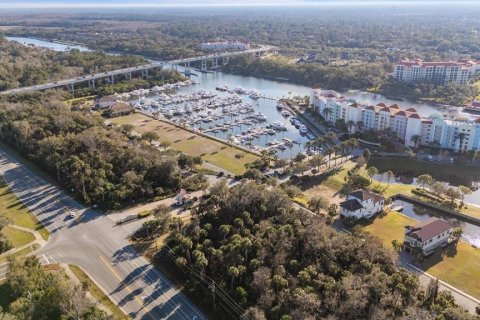Land in Palm Coast, Florida № 1512434 - photo 5