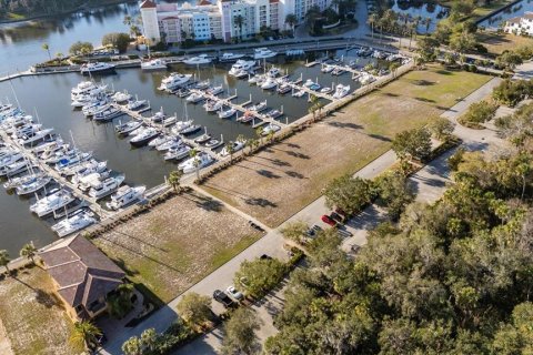 Land in Palm Coast, Florida № 1512434 - photo 15