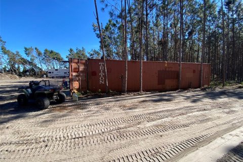 Land in Mayo, Florida № 885593 - photo 7