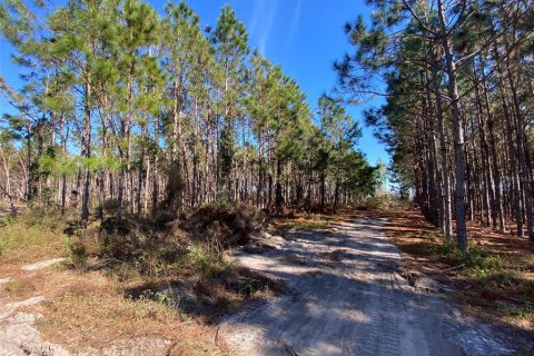 Land in Mayo, Florida № 885593 - photo 4