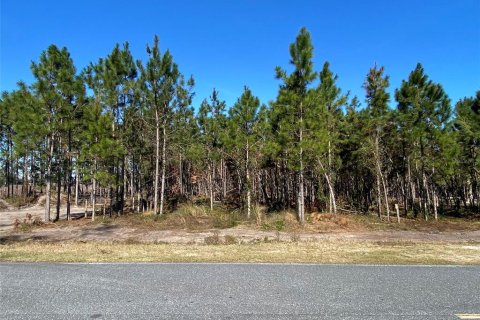 Land in Mayo, Florida № 885593 - photo 1