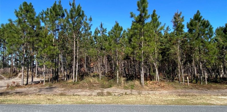 Land in Mayo, Florida № 885593