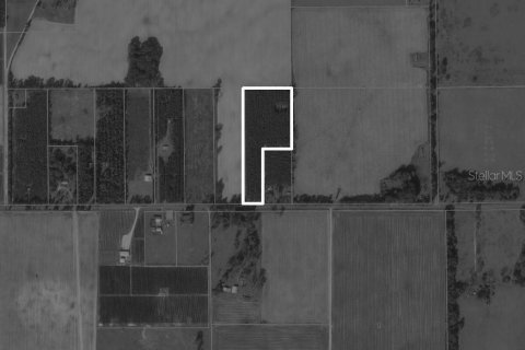 Land in Mayo, Florida № 885593 - photo 8