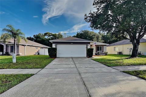 House in Riverview, Florida 3 bedrooms, 117.99 sq.m. № 2351530