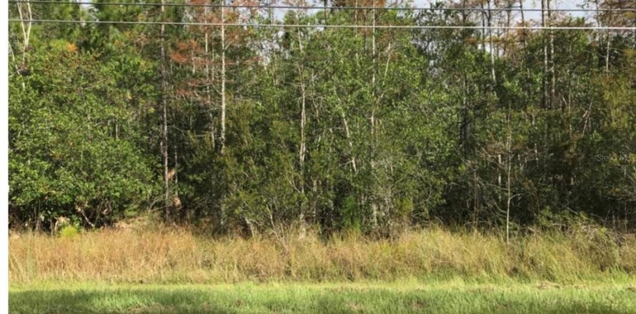 Land in Orlando, Florida № 1834695