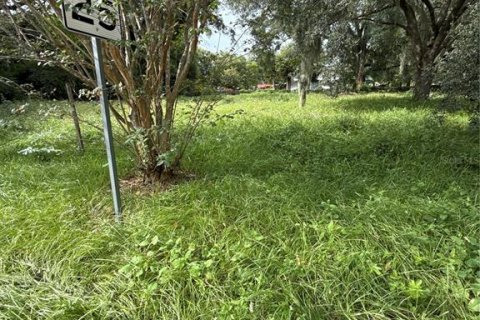 Terreno en venta en Orlando, Florida № 1904739 - foto 3