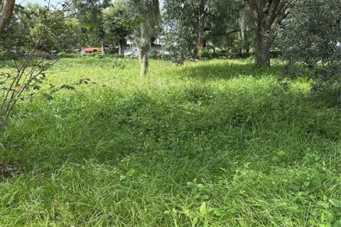 Terreno en venta en Orlando, Florida № 1904739 - foto 2