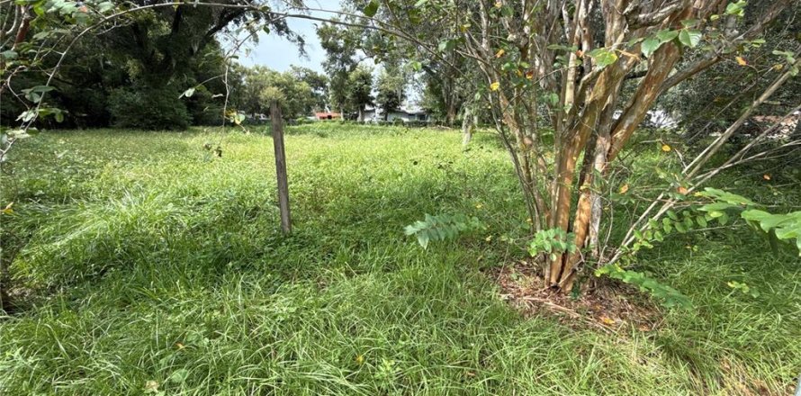 Terreno en Orlando, Florida № 1904739