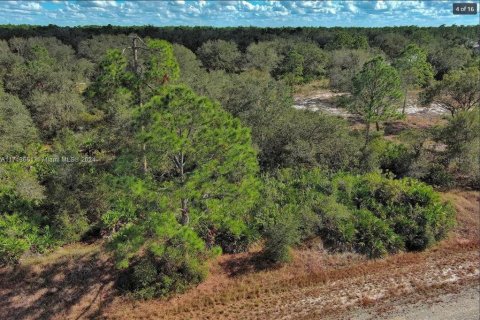 Terrain à vendre à Lehigh Acres, Floride № 2165136 - photo 4