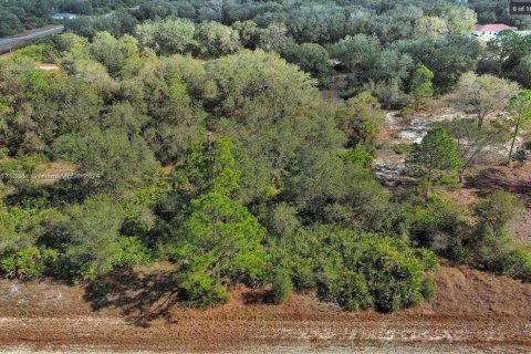 Terrain à vendre à Lehigh Acres, Floride № 2165136 - photo 6