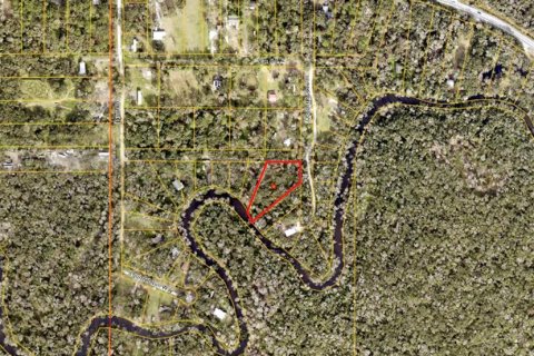 Land in Valrico, Florida № 1659131 - photo 2