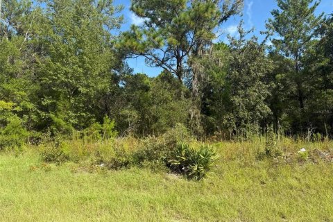 Terrain à vendre à Dunnellon, Floride № 2391098 - photo 3