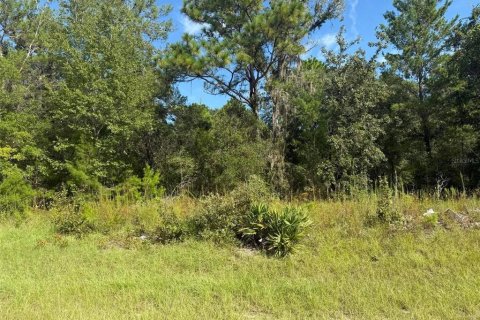 Terrain à vendre à Dunnellon, Floride № 2391098 - photo 2