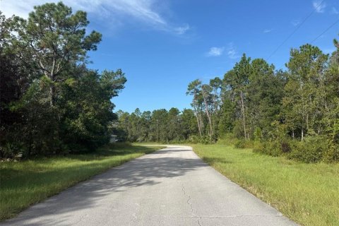 Terrain à vendre à Dunnellon, Floride № 2391098 - photo 4