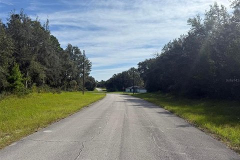Terrain à vendre à Dunnellon, Floride № 2391098 - photo 5