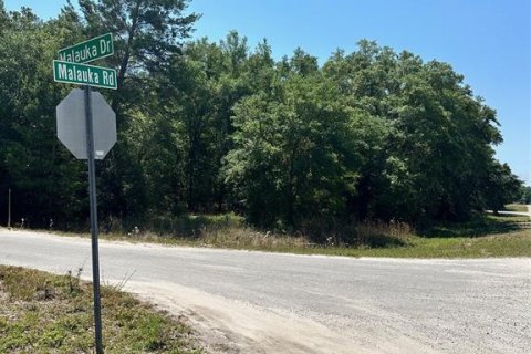 Land in Ocklawaha, Florida № 2160254