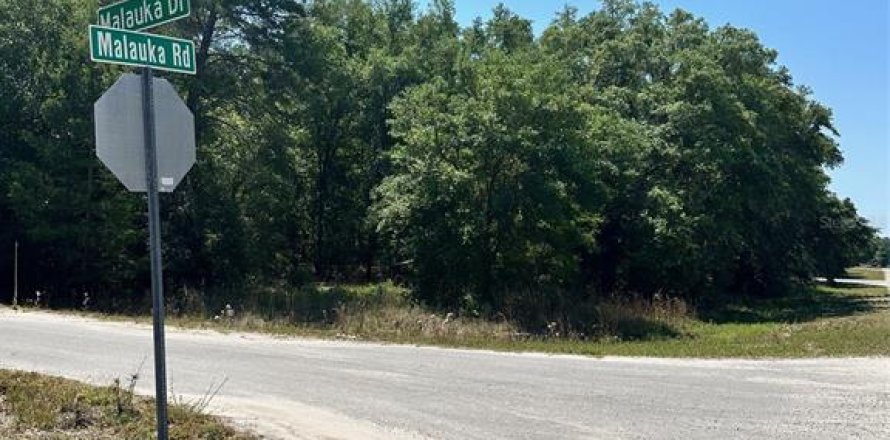 Land in Ocklawaha, Florida № 2160254