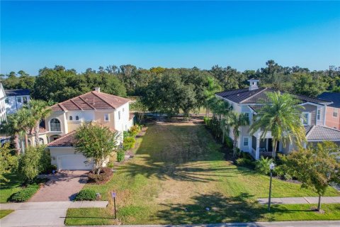 Land in Kissimmee, Florida № 2150991
