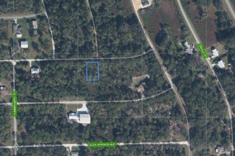 Land in Lake Placid, Florida № 2205622 - photo 2