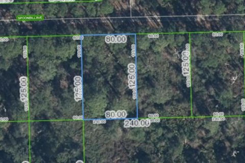 Land in Lake Placid, Florida № 2205622