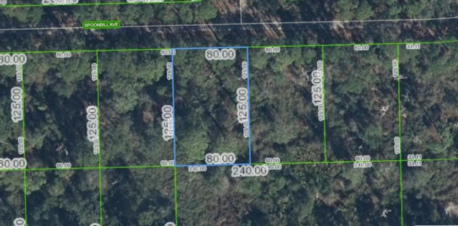 Land in Lake Placid, Florida № 2205622