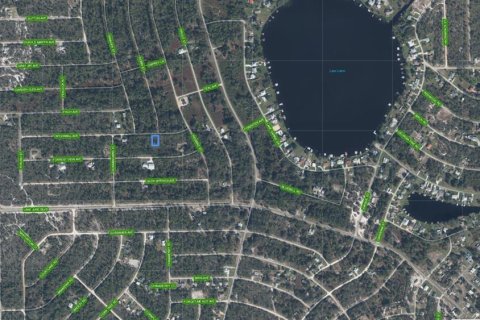 Land in Lake Placid, Florida № 2205622 - photo 3