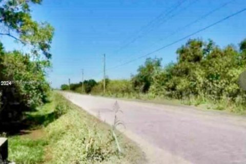 Immobilier commercial à vendre à Homestead, Floride № 2015741 - photo 6