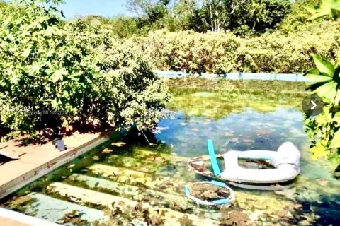 Immobilier commercial à vendre à Homestead, Floride № 2015741 - photo 3