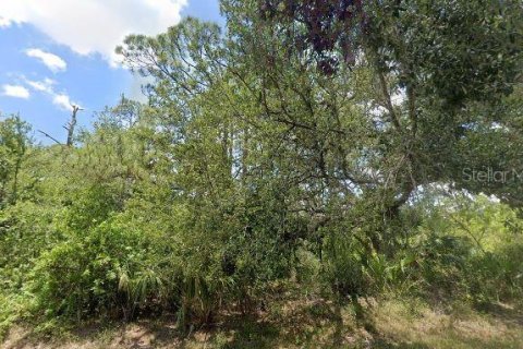 Land in Lehigh Acres, Florida № 2213630 - photo 3
