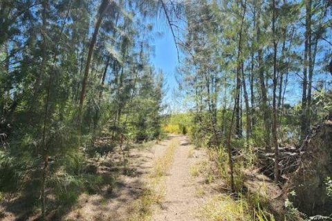 Land in Lehigh Acres, Florida № 2213630 - photo 8