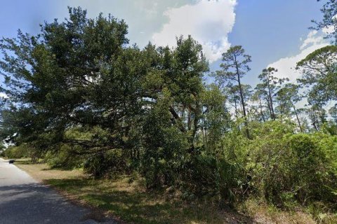 Land in Lehigh Acres, Florida № 2213630 - photo 2