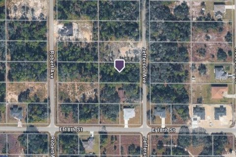 Land in Lehigh Acres, Florida № 2213630 - photo 4