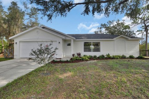 Villa ou maison à vendre à De Leon Springs, Floride: 3 chambres, 136.38 m2 № 2216986 - photo 2
